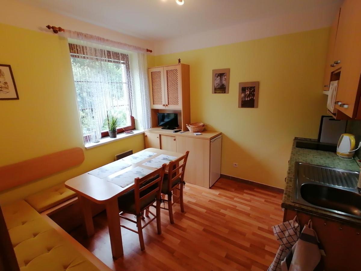 Apartman Na Horach Destne v Orlickych horach Exterior photo